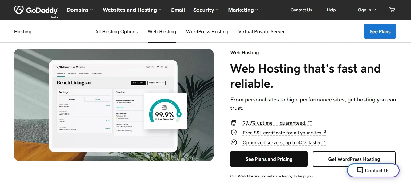 GoDaddy GoDaddy Hosting